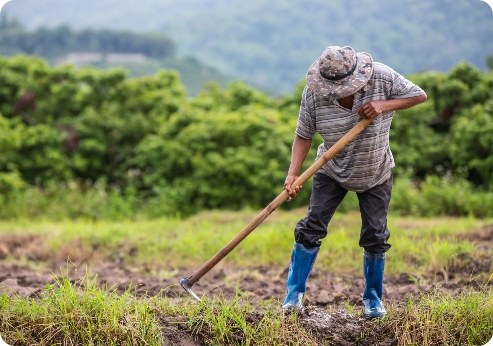 Agricultor trabajando la tierra