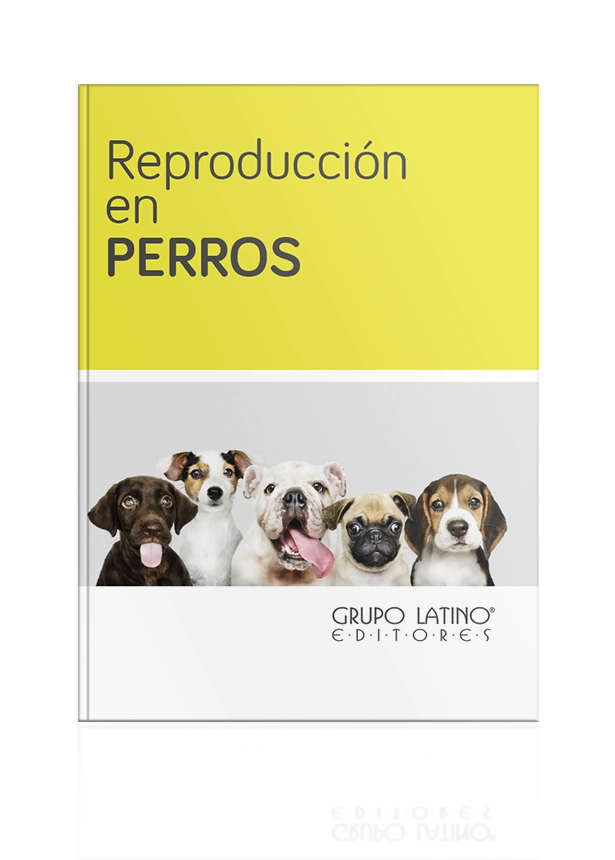 Reproducción en Perros