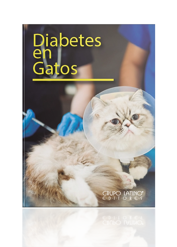 Diabetes en Gatos