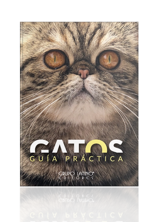 Guía Práctica Gatos