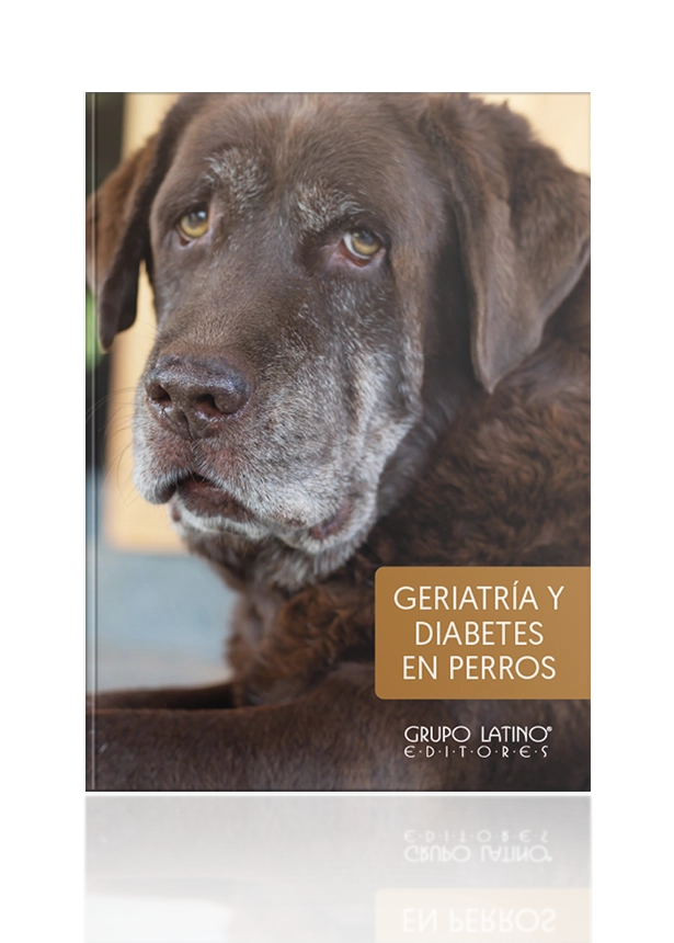 Geriatría y Diabetes en Perros