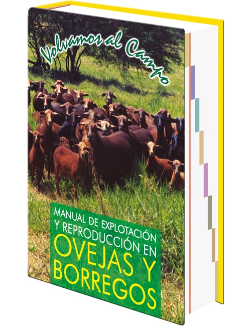 Manual de Explotación y Reproducción en Ovejas y Borregos