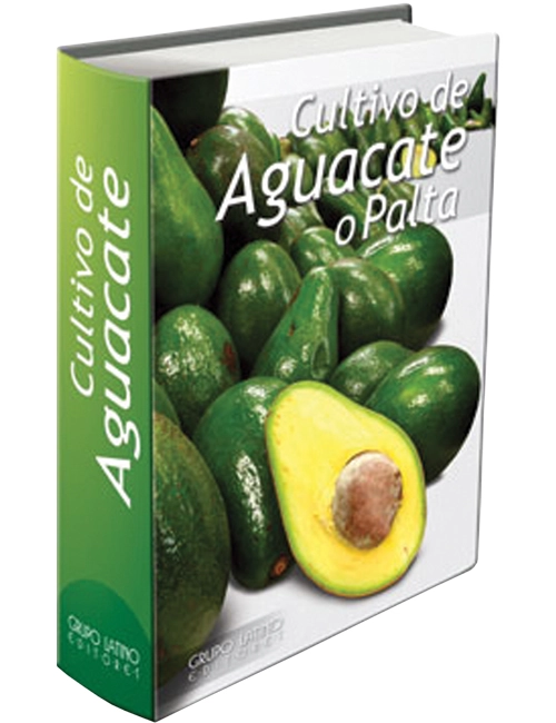 Cultivo de Aguacateo Palta
